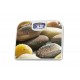 weight scale - Floria - ZLN1693 weight scale - Floria - ZLN1693