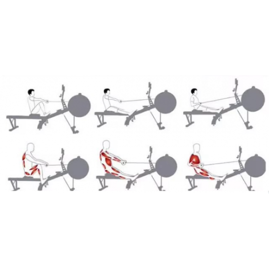 Aerobic Rowing Machine for Fitness