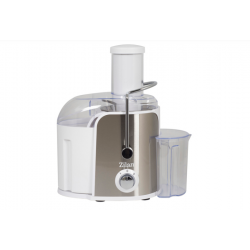 ZLN7979 شەربەتی میوە 800 وات لە زیلانەوە