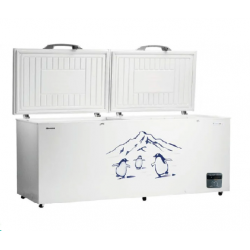 FC-65DD4SA بەفرگرێکی دوو دەرگای هايسنس ٦٦٠ لیتری