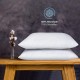 Solid Pillow 40*80 cm Memory foam 2 pieces by Komfortec Solid Pillow 40*80 cm Memory foam 2 pieces by Komfortec