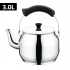 ZTP-1642 Newal Teapot 3 L