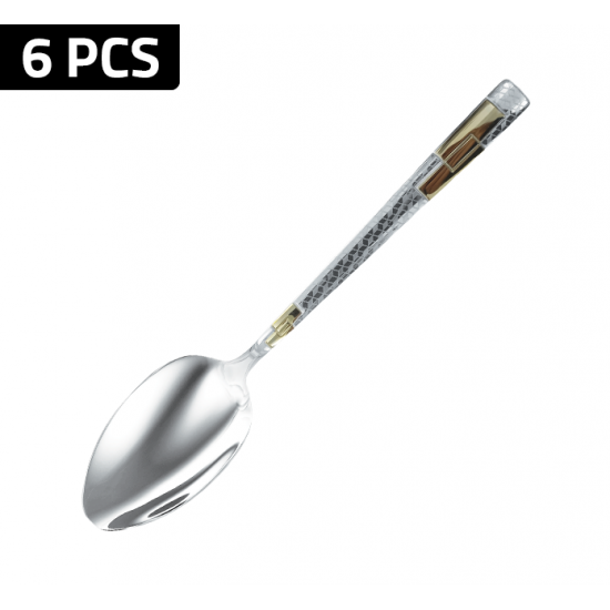 ZCT-4140 سێتی کەوچکی چێشت ٦ پارچەیی زیۆ ZCT-4140 سێتی کەوچکی چێشت ٦ پارچەیی زیۆ