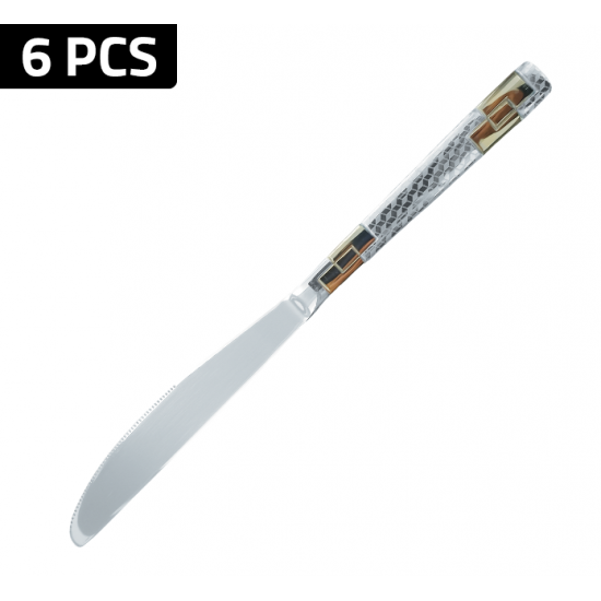 ZCT-4146 سێتی چەقۆی ئێوارەخوانی ٦ پارچەیی زیۆ ZCT-4146 سێتی چەقۆی ئێوارەخوانی ٦ پارچەیی زیۆ