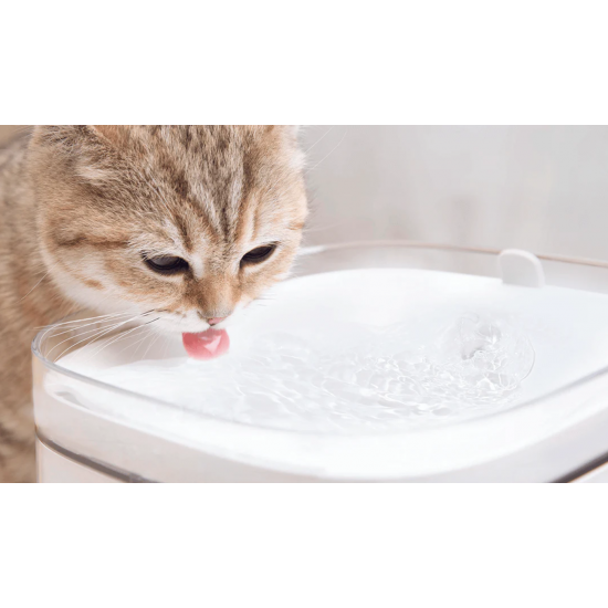 40591-Xiaomi Smart Pet Fountain UK جهاز شرب الماء الذكي للحيوانات من شاومي